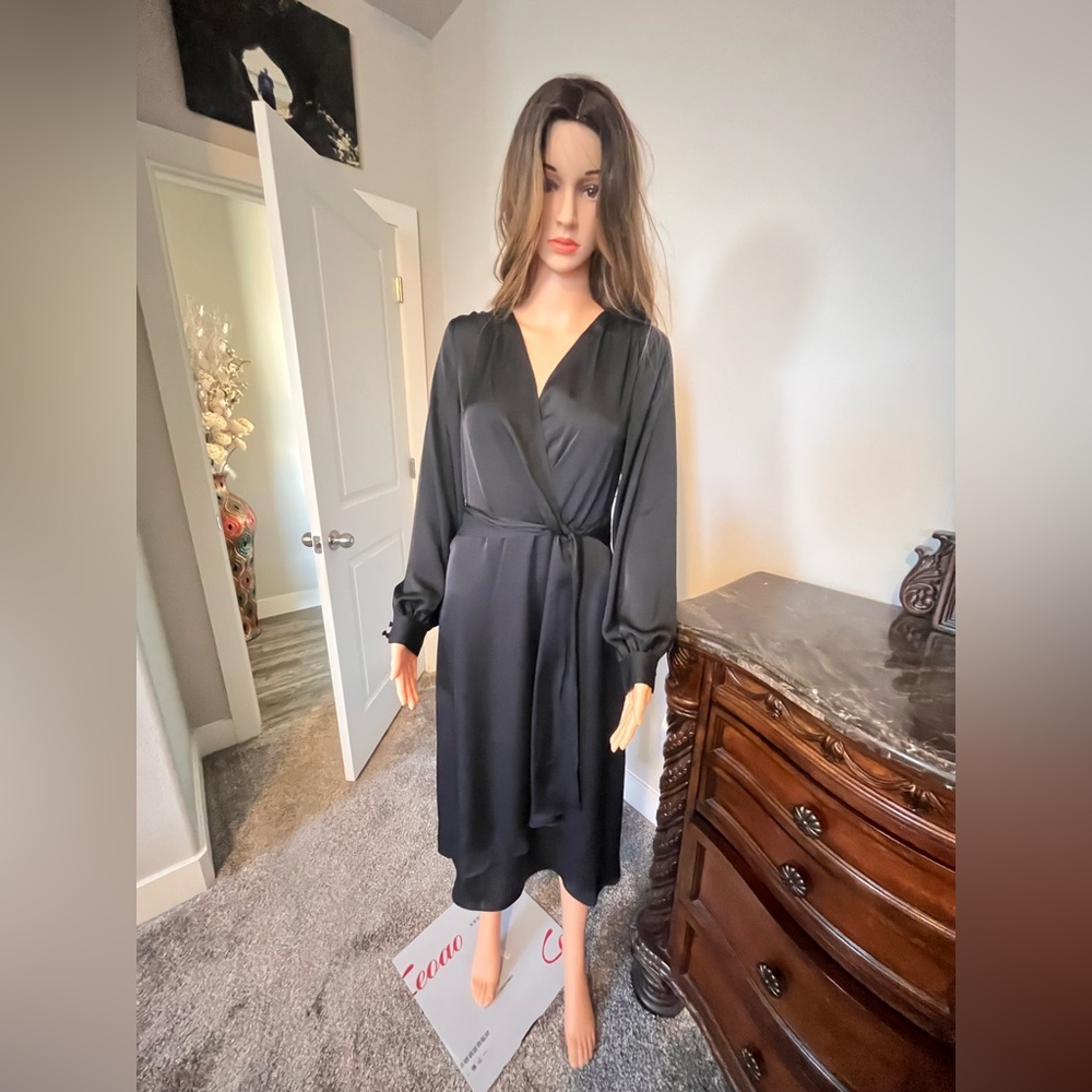 Express brand , black long sleeve dress
